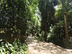 -青城山