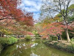-秋霞圃