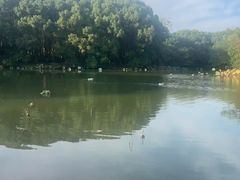 -同里国家湿地公园