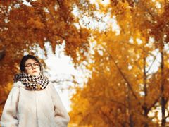 -三里屯东五街银杏大道