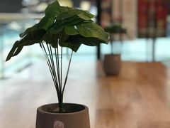 -CoCo都可(贵港万达店)