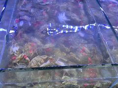 -海韵之星邮轮水会(明发商业广场店)