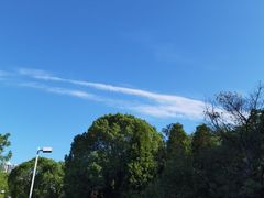 -白塘生态植物园