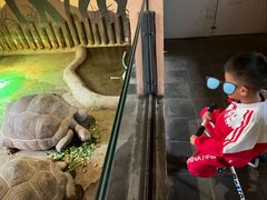 -石家庄市动物园