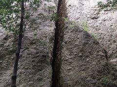 -窦圌山风景区