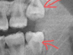 -新达口腔(华东理工大学店)