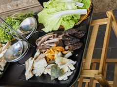 -蘑统田下·野生菌火锅