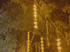 -万泉公园