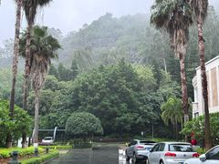 -厦门艾美酒店·新食谱西餐厅