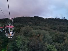-青岛中山公园-索道售票处