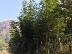 -塔川景区
