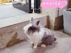 -小意思咖啡店(草桥店)