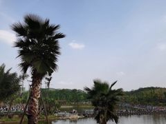 -枫香湖儿童公园