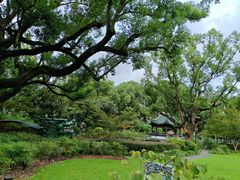 -申粤轩酒楼·三十年粤菜经典(丁香花园店)