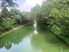 -同里国家湿地公园