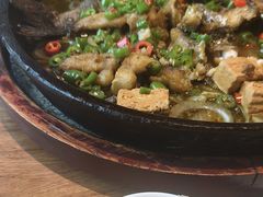 -老板恋上鱼(恒隆广场店)