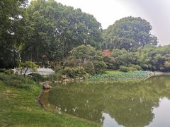 -河南省黄河迎宾馆