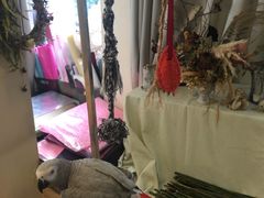 -森野花艺培训·企业团建活动沙龙