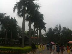 -厦门大学(思明校区)