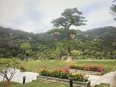 -厦门国家会计学院