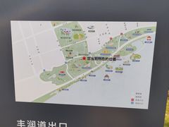 -贡湖湾湿地公园