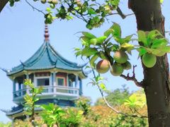 -无锡梅园公园