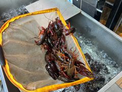 -段氏龙虾·烧烤·烤鱼(东书房路店)