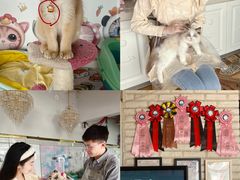 -糯米喵星人总部直营旗舰店·猫舍·幼猫出售