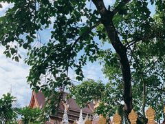 -西双版纳总佛寺