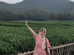 公园入口附近长这样-午潮山国家森林公园