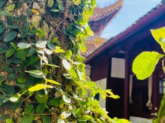 -阿育王寺