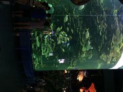 泉城海洋极地世界-泉城欧乐堡海洋极地世界