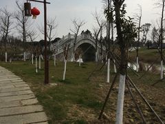 -瑶湖郊野森林公园