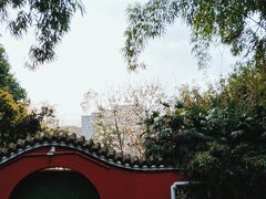 -望江楼公园