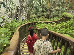 -正佳雨林生态植物园