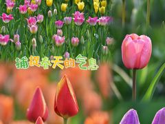 -国家植物园
