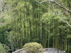 -黄公望隐居地