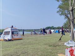 -春花秋色城市公园