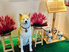 -大江户·温泉洗浴(浑南店)