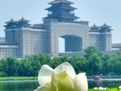 -莲花池公园