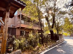 -武陵山森林公园