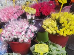 -循礼门鲜花花市(武汉循礼门店)