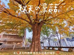 -北京石刻艺术博物馆
