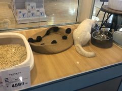 -凯德广场(金牛店)