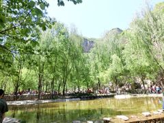 iphone_upload_pic-沕沕水生态风景区