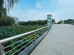 -廊坊文化艺术中心