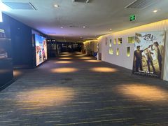 -中影国际影城(西溪印象城CINITYLED店)
