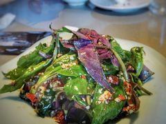 生伴血皮菜-铜小馆(1891时光道店)