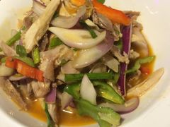 特色椒麻鸡-纳瓦新疆菜(银都店)