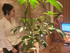 -浅深(北京北四环精品店)